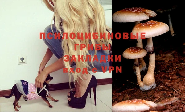 spice Иннополис