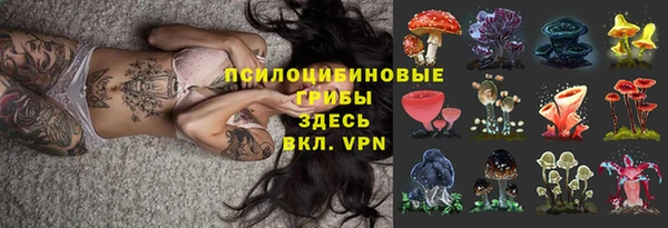 таблы Инта